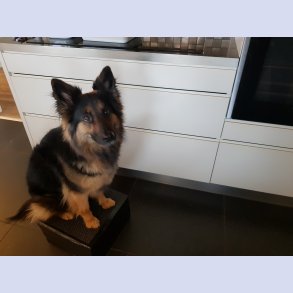 Kvadatisk motorik podie 300 x 300 mm