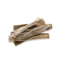 Essential Iceland Fish Delight